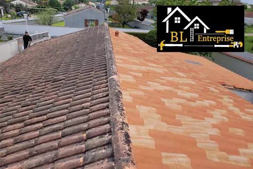 Nettoyage de toiture Barbezieux-Saint-Hilaire